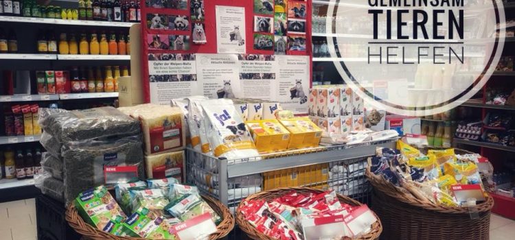 Lohnender Abschluss einer tollen Spendenaktion Lohnender Abschluss einer tollen Spendenaktion