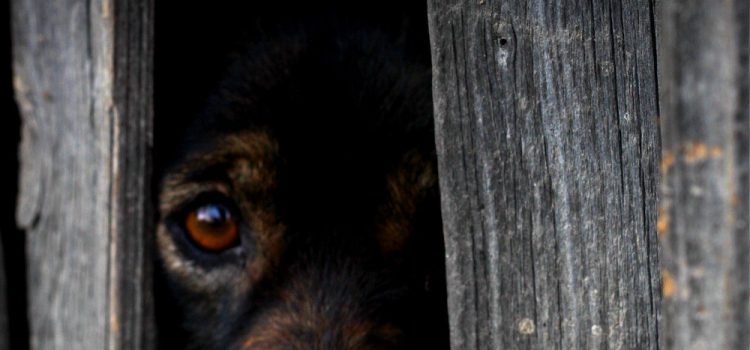 #SilvesterOhneBöller #SilvesterOhneBöller