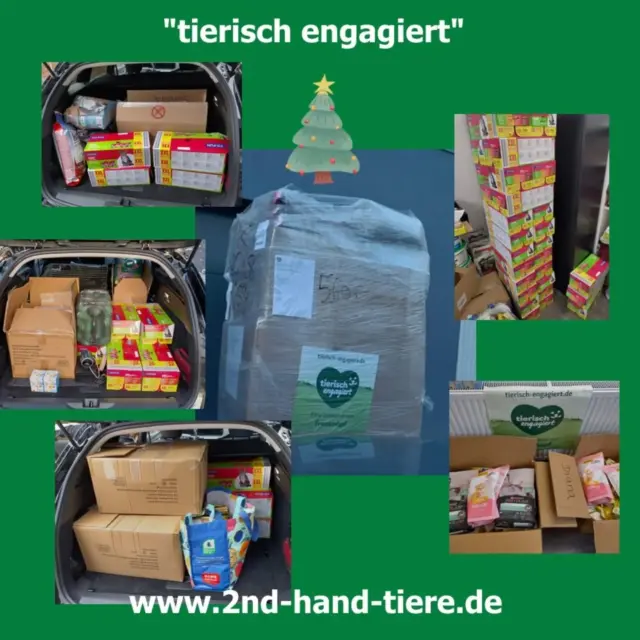 Immer wieder sonntags informieren wir Euch über Themen, die uns aktuell besonders beschäftigen.

Passend zur Vorweihnachtszeit stand Freitagnachmittag die Spendenpalette von Fressnapf vor der Garage 🙏🎄

Somit hieß es dann aus- und umpacken, sortieren und neu kramen, sodass wir dann gestern noch 4 Futterstellen für Straßenkatzen mit einer Menge Futter versorgen konnten 💪🥳! 
Ein bisschen was ist noch da was in der kommenden Woche verteilt wird...

An dieser Stelle unseren 💓 Dank an Fressnapf und die Initiative „tierisch engagiert“ und damit auch ein fettes Dankeschön, an die Menschen, die sich jeden Tag um Katzen kümmern, die auf Aachens und Heinsberger Straßen leben 🥰 

#tierischengagiert
#fressnapf
#danke
#straßenkatzenversorgen
#immerwiedersonntags