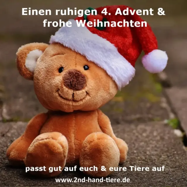 Immer wieder sonntags informieren wir euch über Themen, die uns aktuell besonders beschäftigen.

Heute möchten wir es ganz bewusst ruhig halten.
Wir wünschen euch allen einen geruhsamen vierten Advent und frohe Weihnachten. 🎄

Genießt die Zeit, das Beisammensein, die kleinen Momente.
Achtet auf euch – und ganz besonders auf eure Tiere.
Für viele Hunde, Katzen und andere Tiere sind diese Tage mit Trubel, Geräuschen und Veränderungen verbunden. Ein bisschen Rücksicht, Ruhe und Nähe wirken oft mehr als jedes Geschenk.

Kommt gut durch die Feiertage.
Wir denken an euch – und an all die Tiere, für die wir gemeinsam da sind. 💚

#vierteradvent
#froheweihnachten
#ruhigezeit
#tierschutz
#gemeinsam
zeitfüreinander
achtsamkeit
hundundmensch
tierliebe
feiertagemittieren
immerwiedersonntags