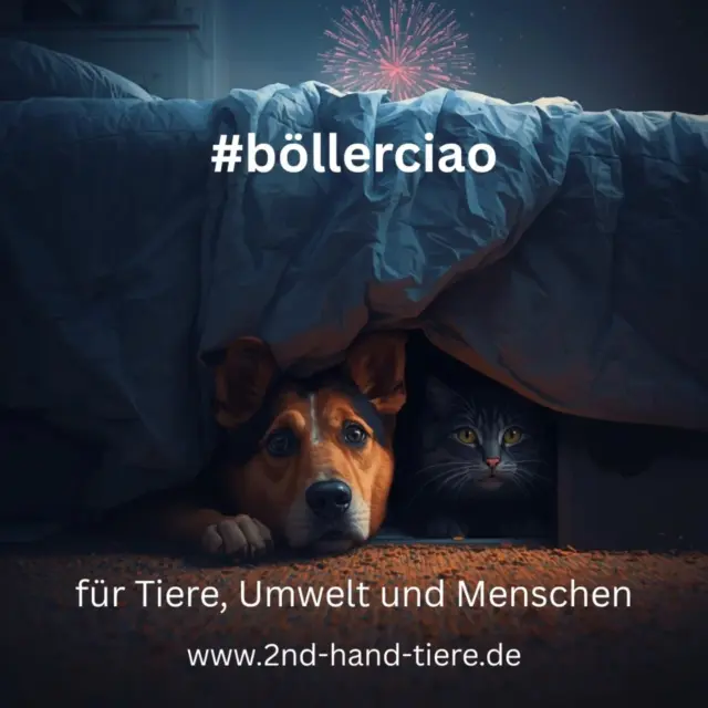 Immer wieder sonntags informieren wir euch über Themen, die uns aktuell besonders beschäftigen.

Zum Jahresende möchten wir erneut ein Zeichen setzen:
#böllerciao

Auch dieses Jahr zeigt sich wieder, wie belastend private Silvesterknallerei für Tiere ist. Angst, Panik und Fluchtreaktionen gehören für viele Haustiere leider zur Realität.
Laut TASSO sind allein zu Silvester 2024/2025 bundesweit 428 Hunde entlaufen – viele davon aus purer Angst vor der Knallerei.

Hinzu kommen die Folgen für Wildtiere, Umwelt und Menschen: Orientierungslosigkeit, Verletzungen, Feinstaub und Müll, der noch Tage später unsere Städte belastet.

Aus unserer Sicht ist es an der Zeit, private Böllerei grundsätzlich zu überdenken – und perspektivisch abzuschaffen.
👉 Die Deutsche Umwelthilfe setzt sich für ein böllerfreies Silvester ein.
Unterstützt die Petition und setzt gemeinsam mit uns ein Zeichen für ein friedlicheres Silvester.
📌 https://mitmachen.duh.de/boellerfreies-silvester/

Bitte achtet nicht nur heute, sondern auch in den kommenden Tagen besonders auf eure Tiere.
Lasst sie nicht allein, wenn sie empfindlich reagieren, sorgt für Sicherheit und Rückzugsorte. Lieber ein paar Tage kürzer treten, als zu viel wollen. Sicherheit geht vor.

In diesem Sinne wünschen wir euch einen ruhigen Jahresausklang, einen guten Rutsch und kommt gut und gesund ins neue Jahr. 🍀

#böllerciao
böllerfreiessilvester
silvesterohneböller
tierschutz
tiereundsilvester
tasso
hundeentlaufen
deutscheumwelthilfe
petition
rücksichtstattknall
umweltschutz
sicherheitgehtvor
guterutsch
immerwiedersonntags