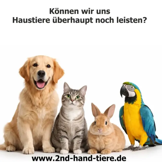 Immer wieder sonntags informieren wir euch über Themen, die uns aktuell besonders beschäftigen.

Können wir uns Haustiere überhaupt noch leisten? 

Wenngleich man sich mit dem folgenden Text als Tierschutzverein sozusagen ins eigene Bein schießt, so müssen wir es doch ansprechen!

Immer mehr „alte“ oder „kranke“ Tiere werden ausgesetzt. Qualzuchten werden gesichert und sollen vermittelt werden… doch wer kann sich das noch leisten???

In der Katzenvermittlung z. B. macht sich in den vergangenen Jahren ein klares Bild sichtbar. Die Menschen wollen Katzen aber keine Kosten. Ob es nun daran liegt, dass das Geld einfach nicht vorhanden ist oder ob man es nicht ausgeben will, sei mal dahingestellt. 
Fakt ist, alles entwickelt sich weiter in die Richtung „es wird teurer“ und daher wollen wir nochmal eindringlich darauf hinweisen, gut zu überlegen, ob man sich ein Haustier wirklich leisten kann. 

Egal ob Hund, Katze, Kaninchen oder Papagei – alles kostet neben Tierarzt auch laufend Geld. Futter, Käfige, Leinen, Streu etc. und an vielen Dingen sollte man auch nicht sparen, denn „billig“ bedeutet auch so manches Mal, schlechtere Qualität. 

Bezüglich der Tierarztkosten macht es mittlerweile wirklich Sinn, sich nach einer geeigneten Versicherung umzuschauen und da auch IMMER das Kleingedruckte gut durchzulesen. Oftmals werden bestimmt Dinge von vorneherein ausgeschlossen, wenn sie z. B. typisch für bestimmte Rassen sind. Nehmt Euch die Zeit und vergleicht was einem angeboten wird oder lasst Euch telefonisch beraten. 

Nebenbei kann es nicht schaden, sich ein Sparbuch anzulegen und dort immer einen kleinen Betrag im Monat zurück zu legen. Wir wissen nie was kommt und das macht es oftmals schwierig. Auch das Leben spielt manchmal nicht so mit, wie wir uns das wünschen, aber dennoch kann man sich ein Stück weit vorbereiten. 

Weiter gibt es für hilfebedürftige Menschen Unterstützung in Form von Futter bei der Tiertafel z. B. oder auch bei verschiedenen Tierschutzvereinen, für Tierarztkosten. 
Aussitzen oder Aussetzen ist KEINE Lösung, also überlegt und bittet notfalls um Hilfe! 

#tierschutz
#planen
#könnenwirdasleisten
#haustierekostengeld
#verantwortungübernehmen