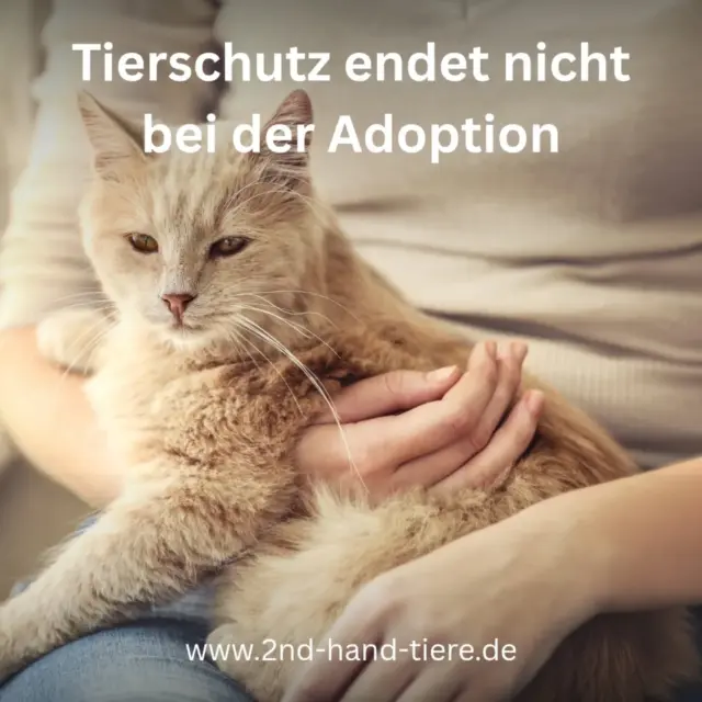 Immer wieder sonntags informieren wir euch über Themen, die uns aktuell besonders beschäftigen.

In der letzten Woche ging es um Zeit, Geld und die Frage, ob man sich ein Haustier leisten kann.
Heute möchten wir einen Gedanken ergänzen:

Tierschutz endet nicht mit der Adoption.

Ein Tier zu übernehmen, egal ob Hund, Katze oder Kleintier, bedeutet mehr als ein Zuhause zu geben. Es bedeutet, ein Lebewesen in all seinen Facetten anzunehmen. Auch dann, wenn sich Dinge entwickeln, die vorher nicht sichtbar waren.

Manches Verhalten zeigt sich erst im Alltag.
Manche Unsicherheiten erst, wenn das Tier wirklich angekommen ist.
Und manchmal verändert sich ein Tier , durch Alter, Krankheit oder neue Lebensumstände.

Das ist kein Versagen.
Das ist Teil von Verantwortung.

Tierschutz heißt nicht, dass alles „funktioniert“.
Tierschutz heißt, sich begleiten zu lassen, Fragen zu stellen und Hilfe anzunehmen, bevor Situationen kippen. Gute Vereine und Fachstellen hören zu, bleiben erreichbar und drängen nicht.

Ein Tier zu adoptieren ist kein einmaliger Akt, es ist ein Prozess.
Und dieser Prozess darf Zeit brauchen.

#tierschutz
#tieradoption
#verantwortungübernehmen
#tierschutzendetnicht
#hundekatzenkleintiere