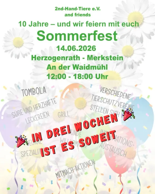 Immer wieder sonntags informieren wir euch über Themen, die uns aktuell besonders beschäftigen.

🎉 In drei Wochen ist es soweit! 🐾

Die Vorbereitungen für unser Sommerfest laufen auf Hochtouren und wir freuen uns riesig darauf, gemeinsam mit euch „10 Jahre 2nd Hand Tiere e.V.“ zu feiern. 💚

📅 14.06.2026
🕛 12–18 Uhr
📍 Herzogenrath-Merkstein, An der Waidmühl

Freut euch auf:
🐾 verschiedene Tierschutzvereine
🎟️ Tombola
🍰 süße & herzhafte Leckereien
🌱 vegane Spezialitäten
🔥 Würstchen vom Grill
🐶 Hunde willkommen
🎪 Mitmachaktionen & Austausch rund um den Tierschutz

Also: Termin merken, Freunde einpacken und vorbeikommen. Wir freuen uns auf euch! 💚

#sommerfest
#2ndhandtiere
#10jahretierschutz
#herzogenrath
#merkstein
tierschutz
gemeinsamfürtiere
tierliebe
tierschutzevent
immerwiedersonntags