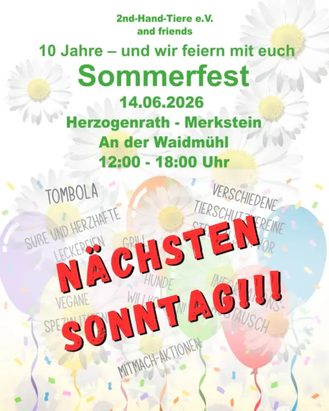 Immer wieder sonntags informieren wir euch über Themen, die uns aktuell besonders beschäftigen.

🎉 In einer Woche ist es soweit! 🐾

Die Vorbereitungen für unser Sommerfest laufen auf Hochtouren und wir freuen uns riesig darauf, gemeinsam mit euch „10 Jahre 2nd Hand Tiere e.V.“ zu feiern. 💚

📅 14.06.2026
🕛 12–18 Uhr
📍 Herzogenrath-Merkstein, An der Waidmühl

Freut euch auf:
🐾 verschiedene Tierschutzvereine
🎟️ Tombola
🍰 süße & herzhafte Leckereien
🌱 vegane Spezialitäten
🔥 Würstchen vom Grill
🐶 Hunde willkommen
🎪 Mitmachaktionen & Austausch rund um den Tierschutz

Also: Termin merken, Freunde einpacken und vorbeikommen. Wir freuen uns auf euch! 💚

#sommerfest
#2ndhandtiere
#10jahretierschutz
#herzogenrath
#merkstein
tierschutz
gemeinsamfürtiere
tierliebe
tierschutzevent
immerwiedersonntags