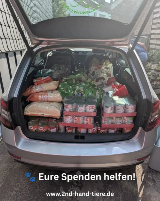 Immer wieder sonntags informieren wir euch über Themen, die uns aktuell besonders beschäftigen.

🐾 Was passiert eigentlich mit euren Spenden?

Vor einigen Tagen konnten wir eine große Futterspende an den Pusztamonster e.V. Gnaden- und Seniorenhof übergeben.

Jeder Sack Futter und jede Dose helfen dabei, die Tiere auf dem Gnadenhof zu versorgen. Genau deshalb sammeln wir immer wieder Sachspenden, denn gemeinsam können wir dort unterstützen, wo Hilfe gebraucht wird.

Ein herzliches Dankeschön an das Team vom Pusztamonster e.V. für seinen unermüdlichen Einsatz und natürlich an alle, die unsere Spendenaktionen unterstützen. Ohne euch wäre das nicht möglich. 💚

Jede Dose zählt. Jeder Sack Futter hilft. Gemeinsam können wir etwas bewegen!