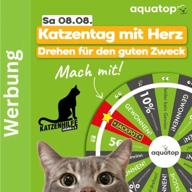 Immer wieder sonntags (verschoben auf Montag 🙂) informieren wir Euch über Themen, die uns aktuell besonders beschäftigen. 

Zum Weltkatzentag darf die Katzenhilfe Aachen e. V. die Glücksrad-Aktion im Aquatop Würselen mit einem Infostand begleiten.

Der gesamte Erlös der Aktion geht an die Katzenhilfe Aachen e. V.!
Kommt gerne vorbei und unterstützt damit notleidende Katzen!

📌 Wann: Samstag, 08.08.2026 von 11 bis 17 Uhr
📌 Wo: Aquatop Würselen, Sankt-Jobser-Straße 57, 52146 Würselen

#katzenhilfe 
#weltkatzentag
#gemeinsamschafftmanmehr