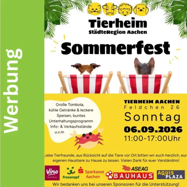 Immer wieder sonntags informieren wir Euch über Dinge, die uns aktuell besonders beschäftigen.

SOMMERFEST im Aachener Tierheim

Heute von 11 bis 17 Uhr erwartet euch ein buntes Programm für die ganze Familie. Egal ob Groß oder Klein – Zusammen einen schönen Tag verbringen und den Tierschutz in der Aachener Region in den Mittelpunkt zu rücken.

Kommt vorbei, verbringt einen unbeschwerten Tag und unterstützt dabei gleichzeitig die felligen und gefiederten Bewohner des Tierheims. Denn dieses Sommerfest ist mehr als Unterhaltung – es unterstützt die Schützlinge direkt! Jeder Cent hilft weiterhin Lebensqualität zu schenken, Pflege zu ermöglichen und neue, liebevolle Zuhause zu finden.

Gemeinsam schafft man mehr!

Wann: Sonntag, 6. September 2026, 11 bis 17 uhr

Wo: Tierheim Aachen, Feldchen 26

Wichtig: Aus Rücksicht auf die Tiere vor Ort wird darum gebeten, die eigenen Haustiere zu Hause lassen!!!

#sommerfest
#tierheimaachen
#gemeinsamschafftmanmehr